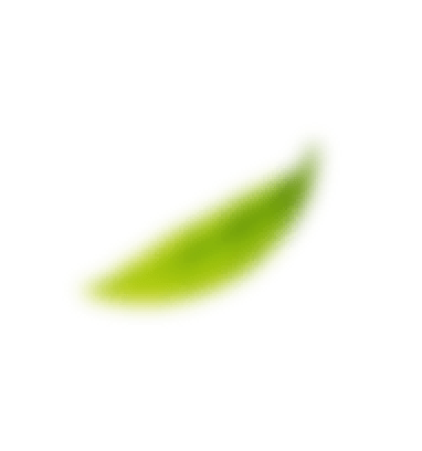 葉っぱのイラスト