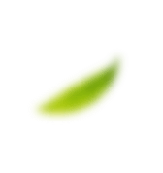 葉っぱのイラスト